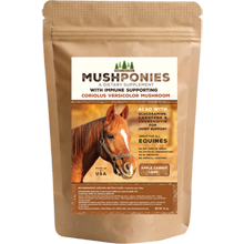 MushPonies Horse Cakes With Coriolus Versicolor Mushroom (International)